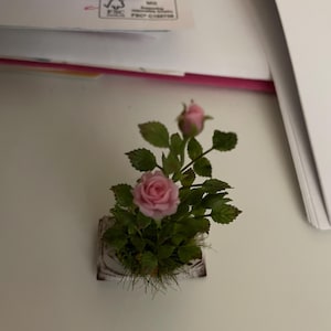 Liz added a photo of their purchase