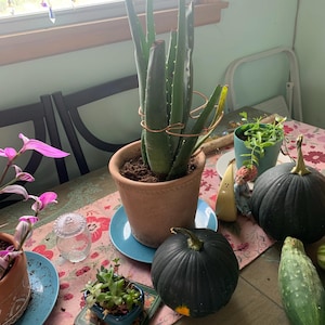 Carolyn added a photo of their purchase