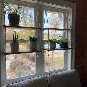 Rachel added a photo of their purchase