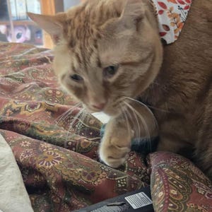 Etsy buyer added a photo of their purchase