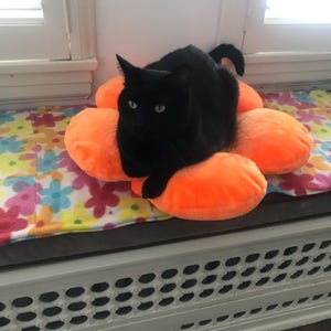 Susan heeft een foto van de aankoop toegevoegd