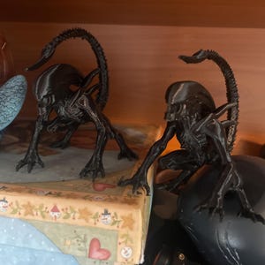 Thomas added a photo of their purchase