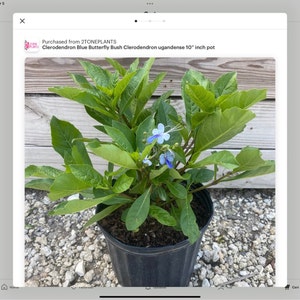 Nudge added a photo of their purchase