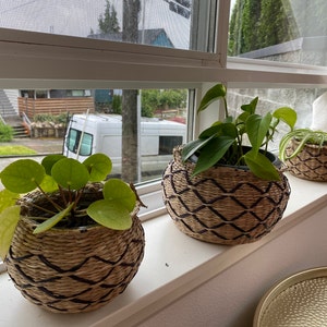 Elizabeth added a photo of their purchase