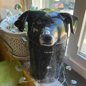 Hannah added a photo of their purchase