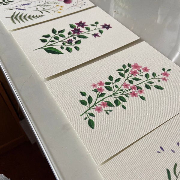 Postcard Set of 6 - Botanical Wildflowers Collection - Watercolour ...