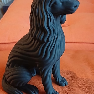 Carol added a photo of their purchase