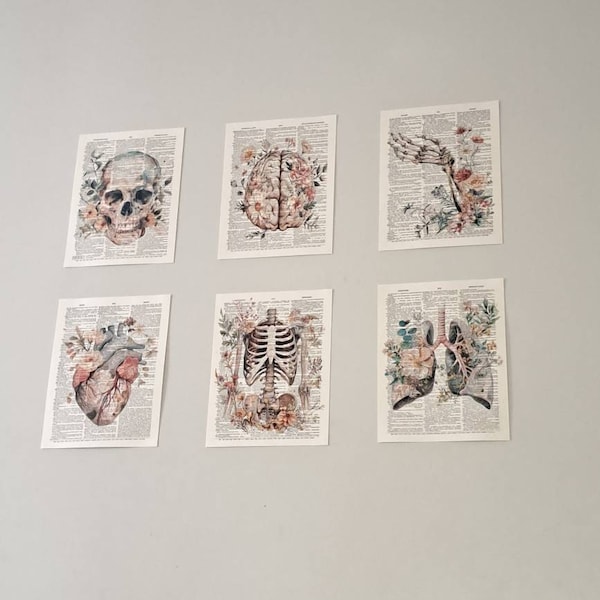 Anatomy Print Set 6 Medical Wall Art Anatomical Poster Home Decor Gifts ...