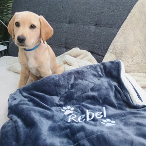Molly added a photo of their purchase