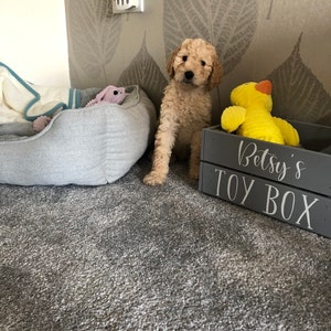 Ciara added a photo of their purchase