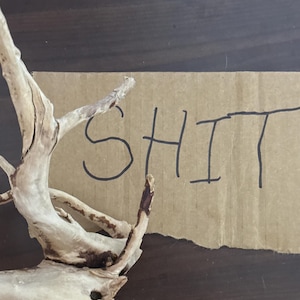 David added a photo of their purchase