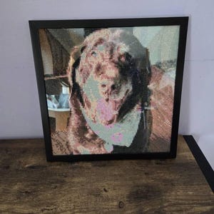 Robin added a photo of their purchase