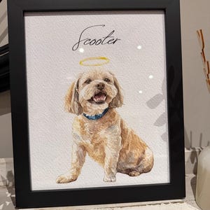 Amelia added a photo of their purchase