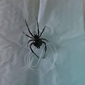 Tammy added a photo of their purchase