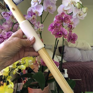 Sally added a photo of their purchase