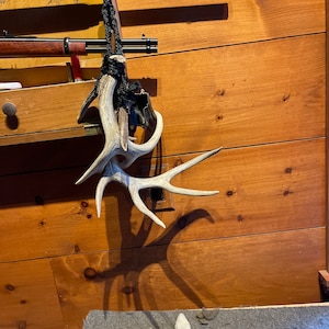 Brandon ha añadido una foto de su compra