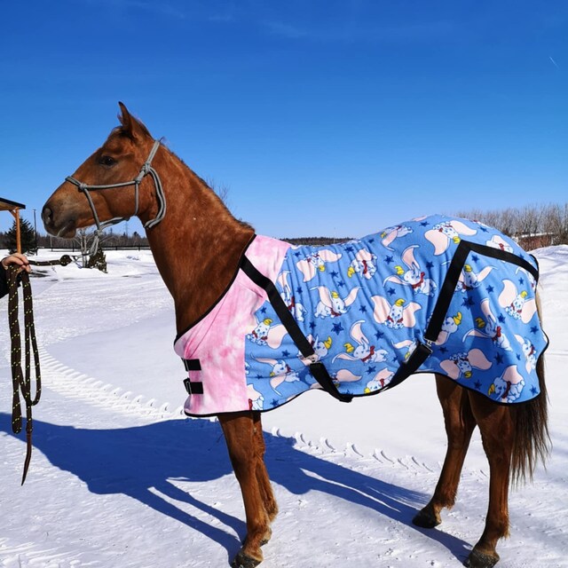 Patch work sheets - HORSE BLANKET RESEARCH
