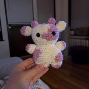 Edi added a photo of their purchase