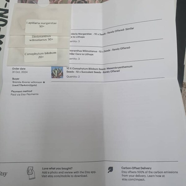 Semillas Cactus Frailea Mix | Cuotas Sin Interés - Foto 3