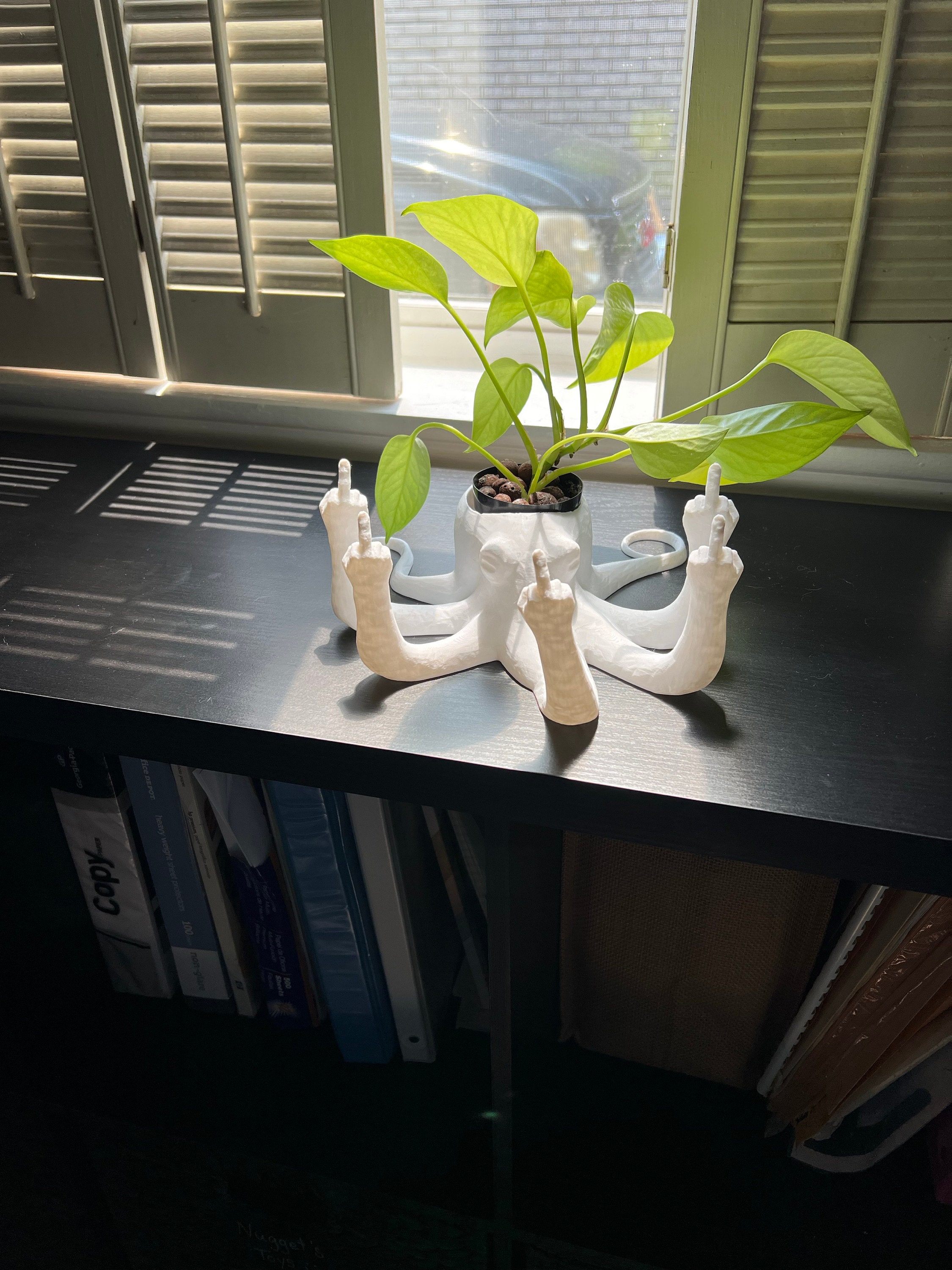 Fucktopus Planter
