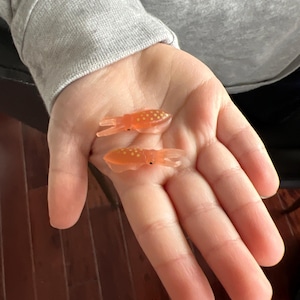 Monika added a photo of their purchase