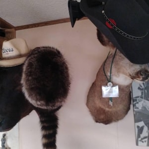 Aaron added a photo of their purchase