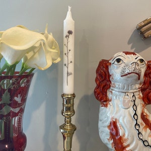 Courtney heeft een foto van zijn/haar aankoop toegevoegd