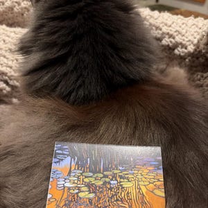 Diane added a photo of their purchase