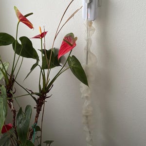 Emmy hat ein Foto des gekauften Artikels hinzugefügt