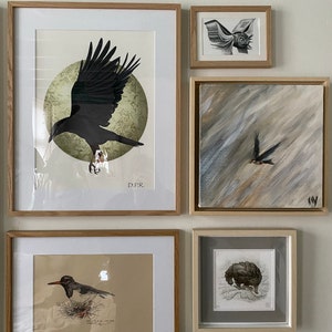 Ineke a ajouté une photo de son achat