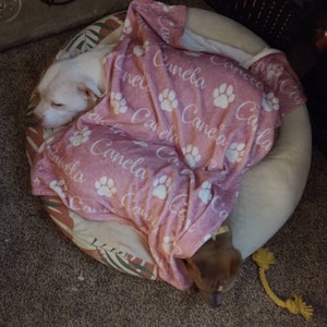 Jesse added a photo of their purchase