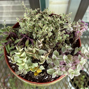 Cathy added a photo of their purchase