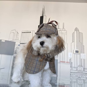 Sherlock Holmes Detective Cape Hat Pet 