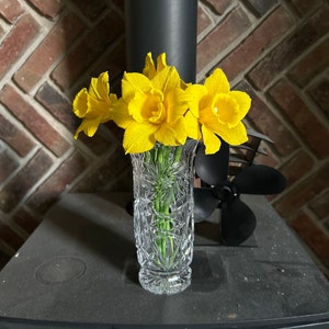 Charlotte added a photo of their purchase