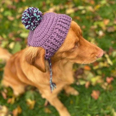 Medium Crochet Dog Hat PATTERN: Prickly Paw Hat - Etsy