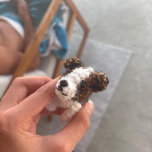 Ethan added a photo of their purchase