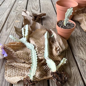April added a photo of their purchase