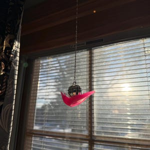 Amanda added a photo of their purchase