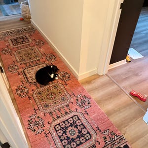 Rachel added a photo of their purchase