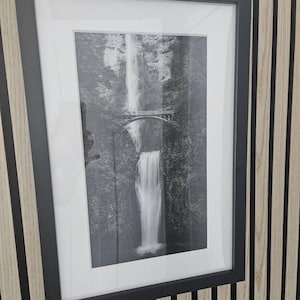 Pattie added a photo of their purchase