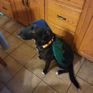 Tracy added a photo of their purchase