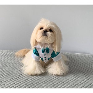 Gemma adicionaram uma foto da sua compra