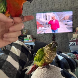 Brandi added a photo of their purchase