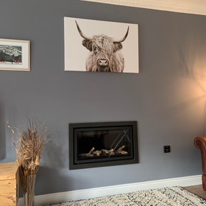 Jo added a photo of their purchase