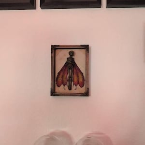 Idun heeft een foto van de aankoop toegevoegd
