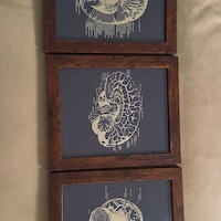 Brain Anatomy Art Foil Print Set of 3 - Medical School - Human Brain ...