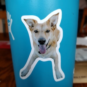 Kellie added a photo of their purchase