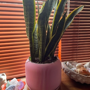 Erin ha añadido una foto de su compra