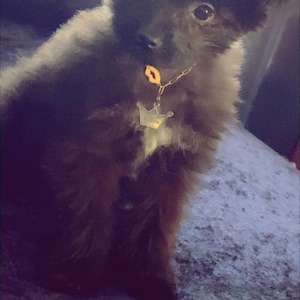 Royal added a photo of their purchase