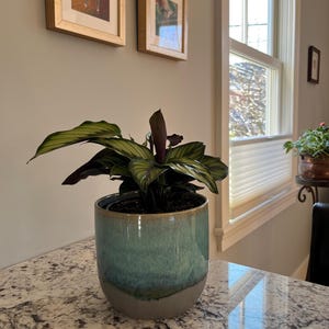 Nancy added a photo of their purchase